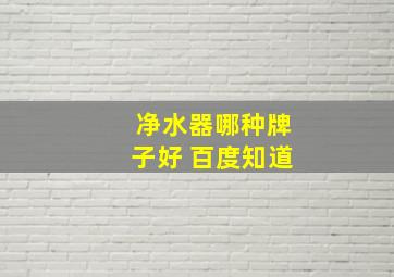 净水器哪种牌子好 百度知道